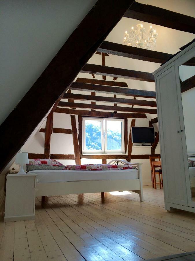 Haus Am Ufer Mit Rheinpanoramablick Apartment Koblenz  Exterior foto